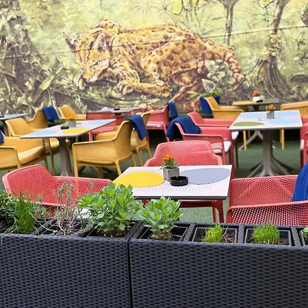 Beenie 19 Couette-café Linz